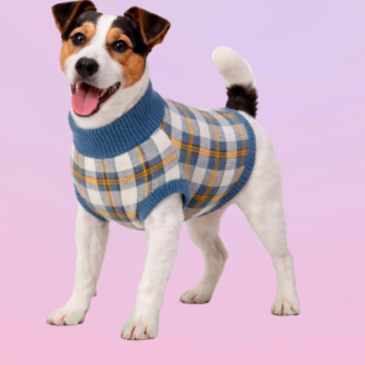 Suéter Tejido Cuadro para Mascota - Talla XXS 1