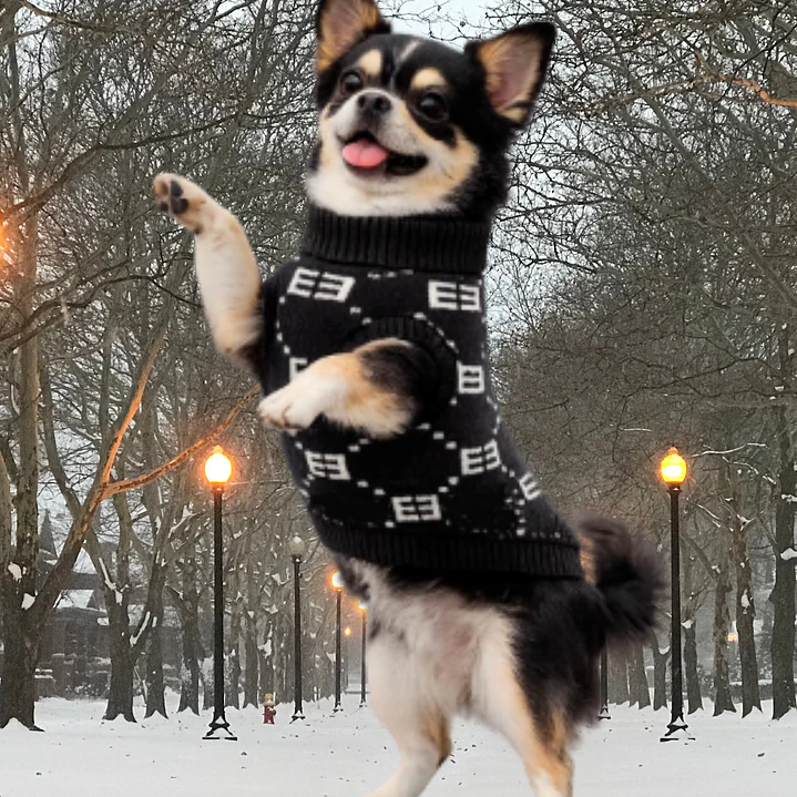 Suéter Tejido para Mascota - Talla XS 1