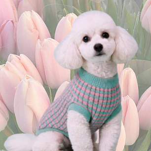 Suéter Tejido para Mascota - Talla S