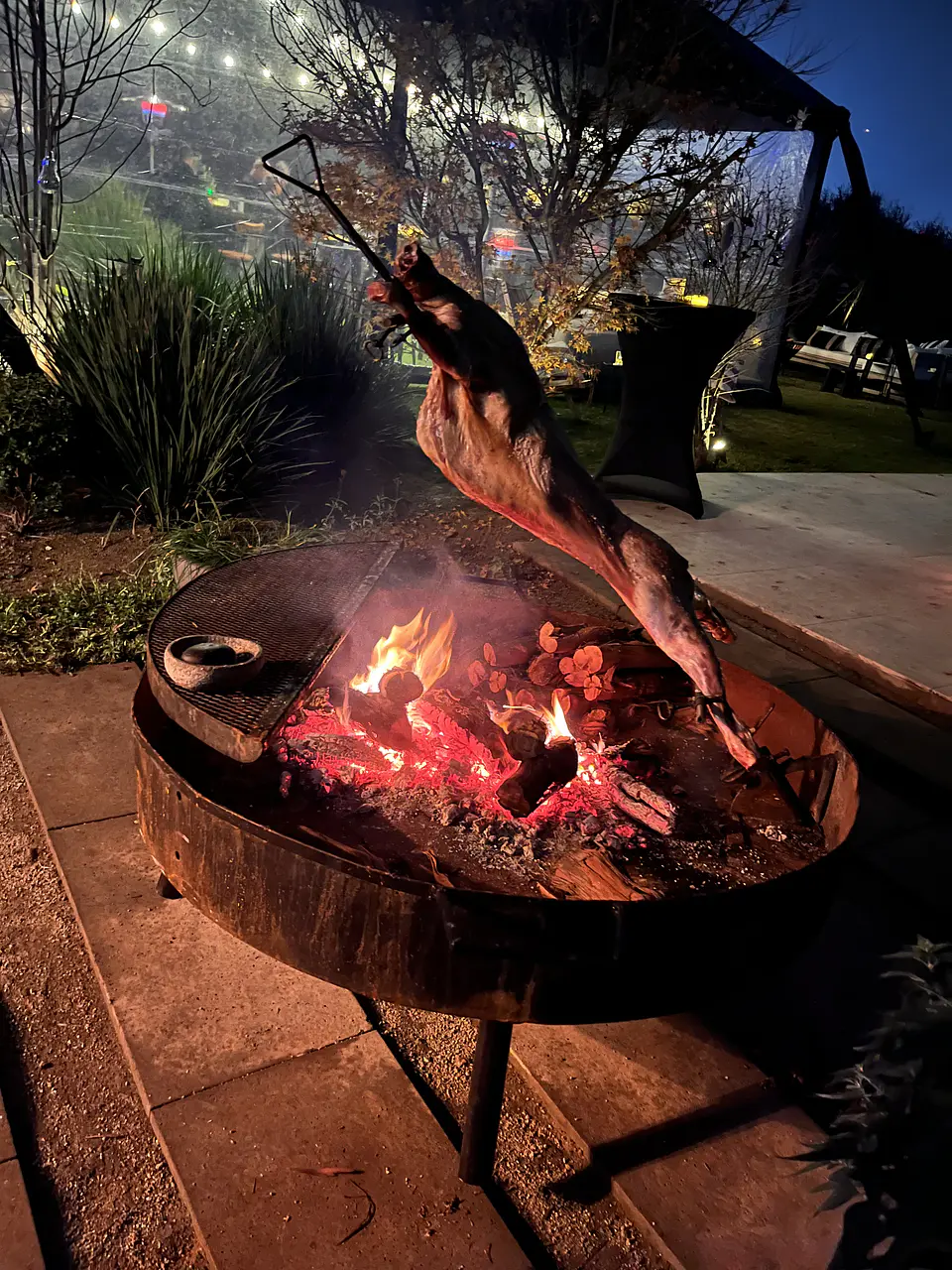 CORDERO AL PALO MAGALLANICO A DOMICILIO 15 PERSONAS 2
