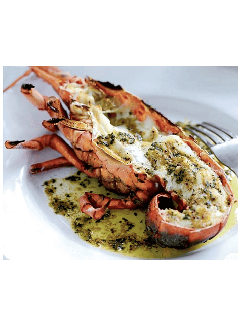 LANGOSTA DE JUAN FERNÁNDEZ 