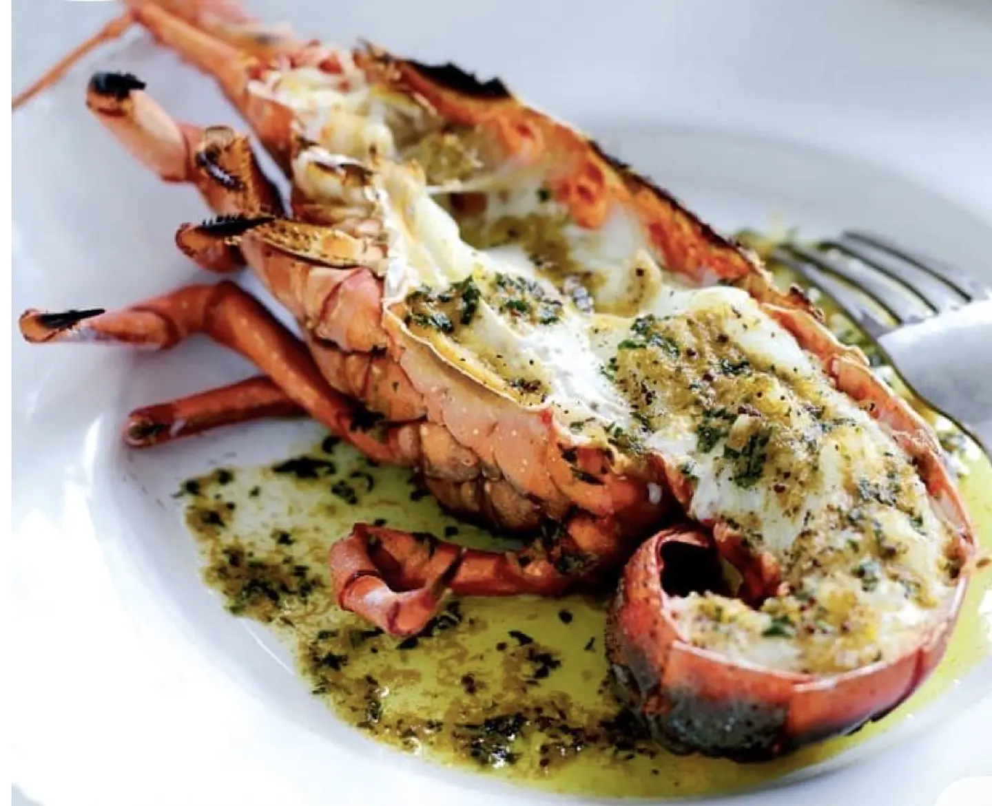 LANGOSTA DE JUAN FERNÁNDEZ  1