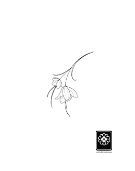 Abono flash Flor silvestre