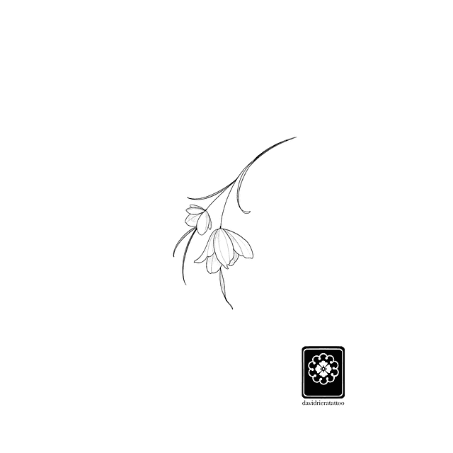 Abono flash Flor silvestre