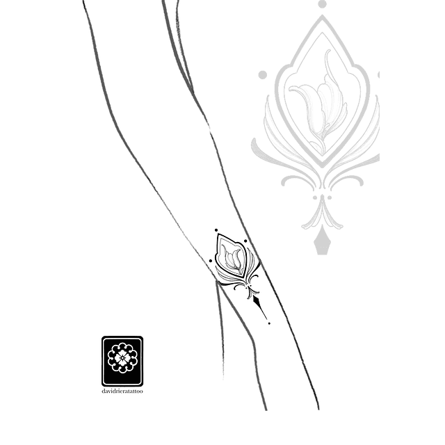 Abono cala ornamental 