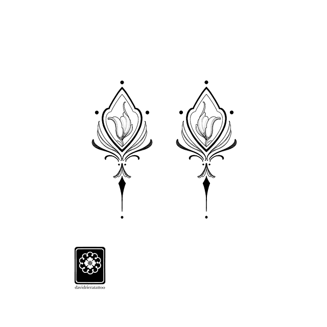 Abono cala ornamental 