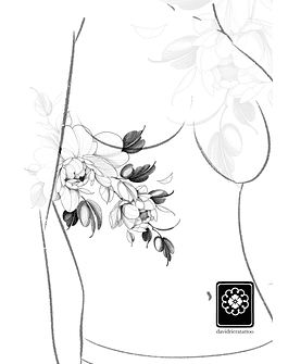 Abono peonias botón 2