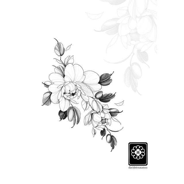 Abono peonias botón 2