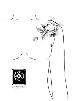 Abono botón Peonia 1