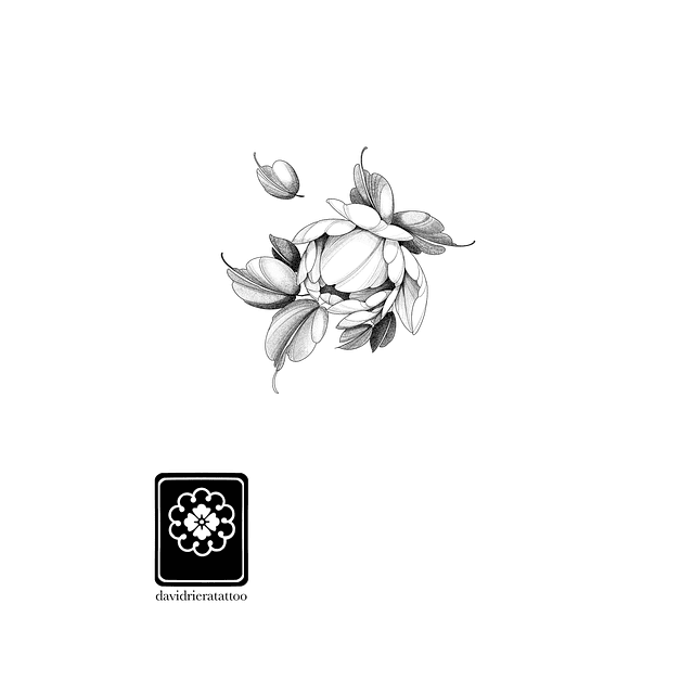 Abono botón Peonia 1