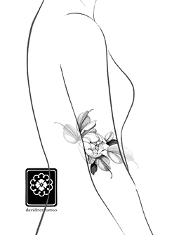 Abono botón Peonia 2