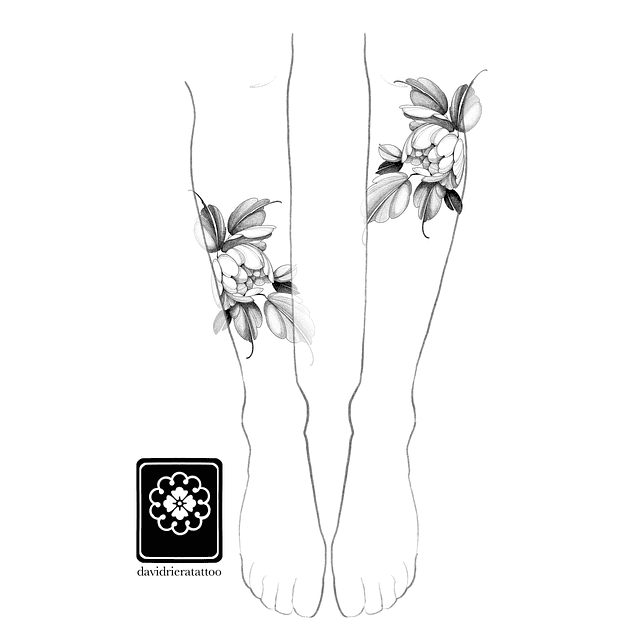 Abono botón Peonia 2