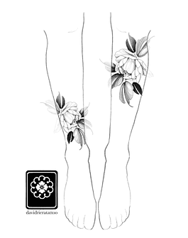 Abono botón Peonia 3