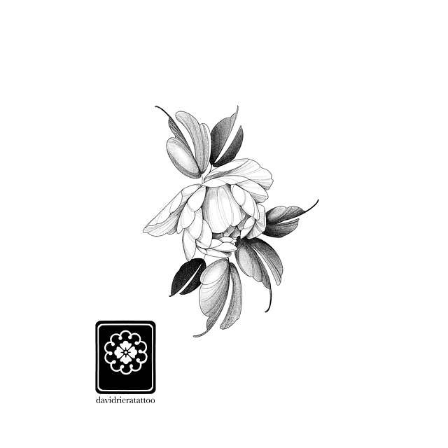 Abono botón Peonia 3