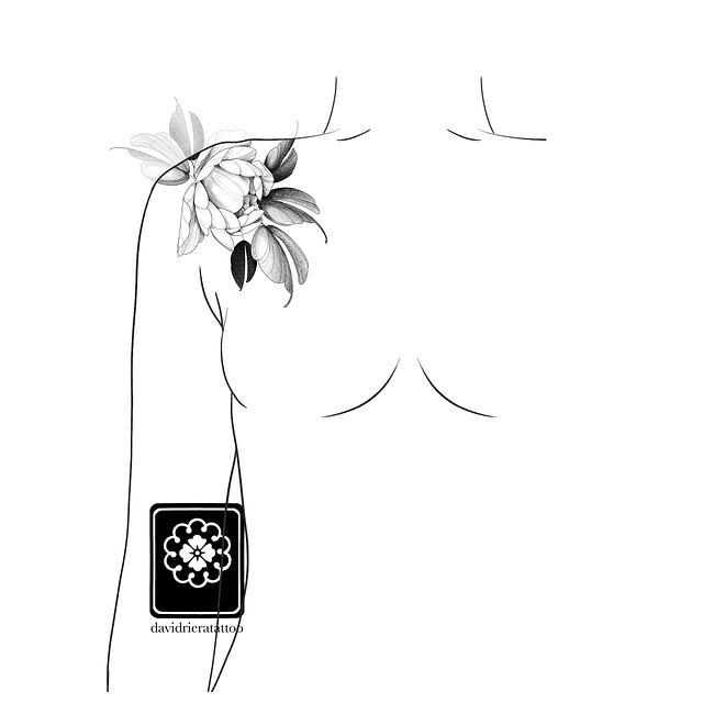 Abono botón Peonia 3