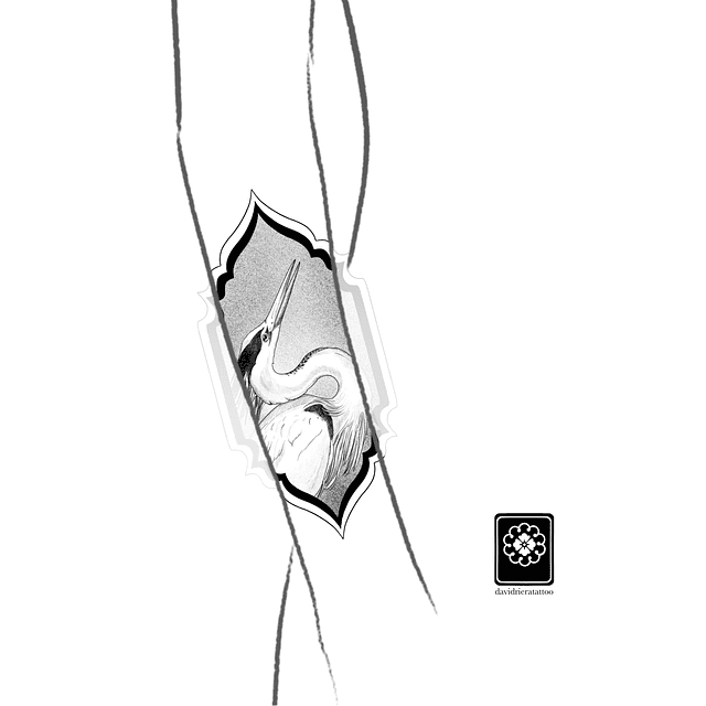 Abono garza ornamental 