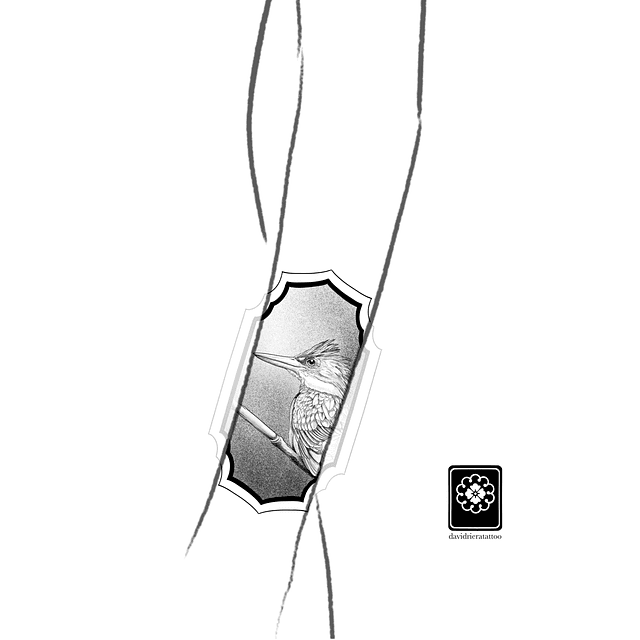 Abono martin pescador ornamental