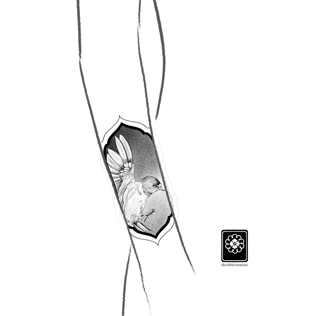 Abono golondrina ornamental