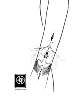 Abono flor ornamental 1 