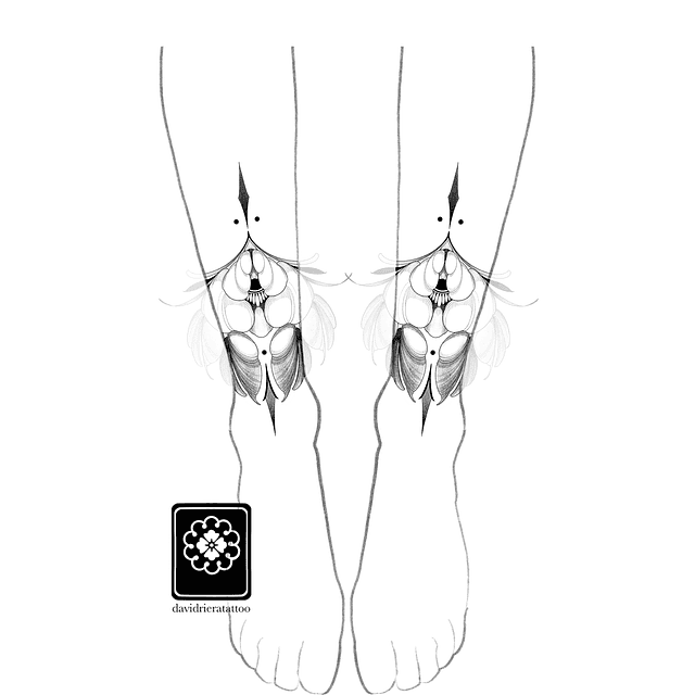 Abono flor ornamental 1 