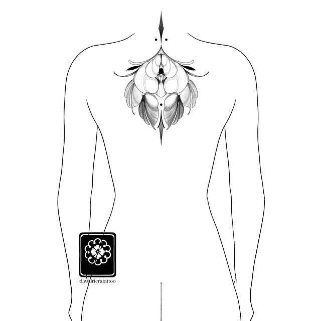 Abono flor ornamental 1 