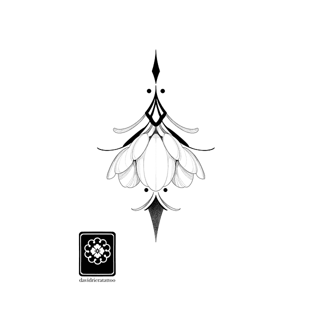 Abono flor ornamental 2