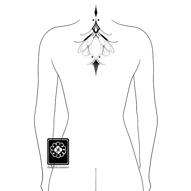 Abono flor ornamental 2