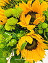 Sunflowers and Greens