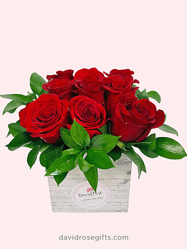 Red Petal Roses