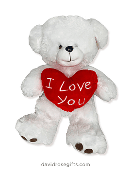 Teddy Bear with "I love you" Heart