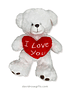 Teddy Bear with 