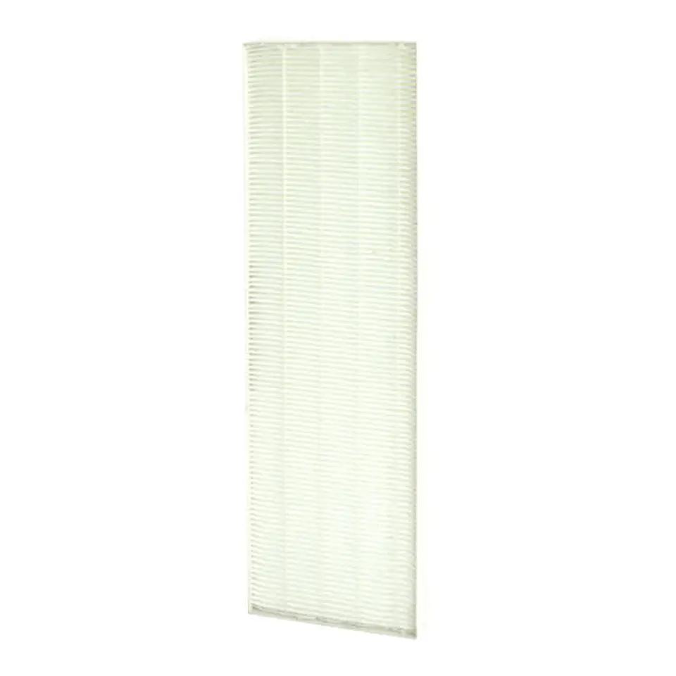 FILTRO HEPA DX5 1