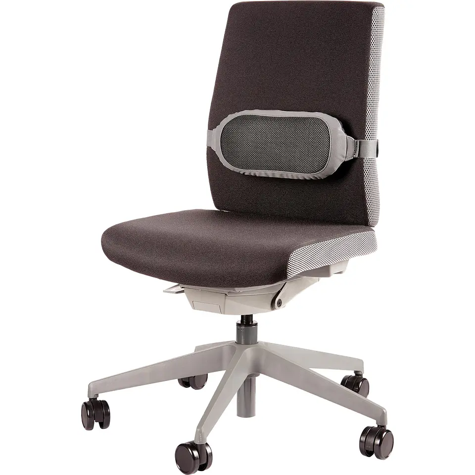 Respaldo Lumbar Gris I-Spire 4