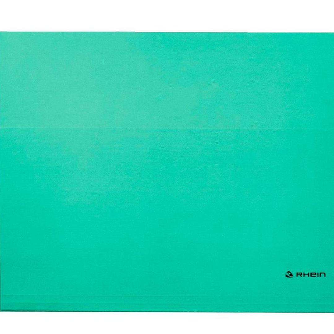 Pack 25 Carpeta Colgante Cartulina Oficio Verde Rhein 1