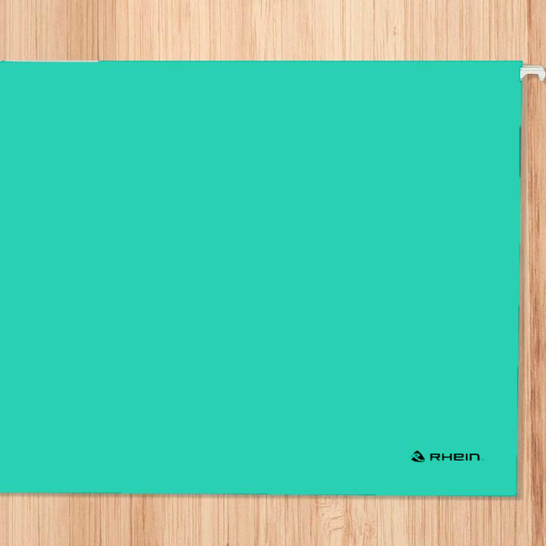 Pack 25 Carpeta Colgante Cartulina Oficio Verde Rhein 4