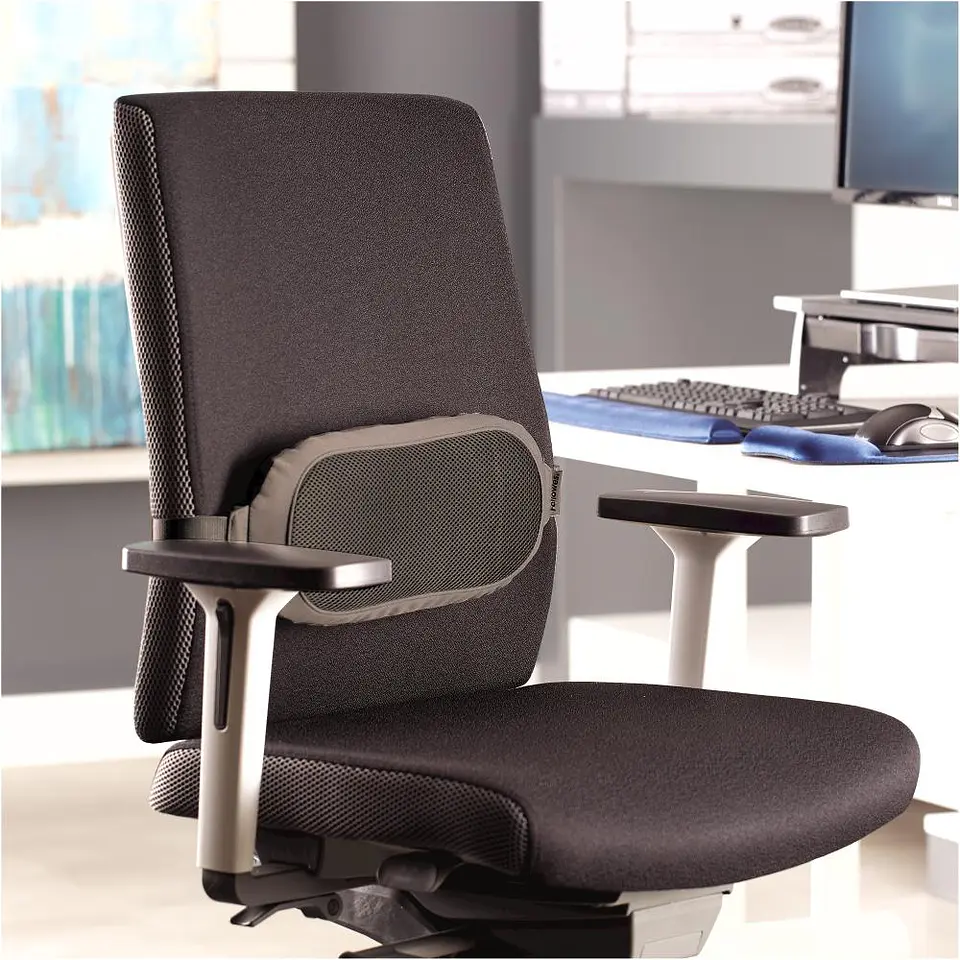 Respaldo Lumbar Gris I-Spire 8