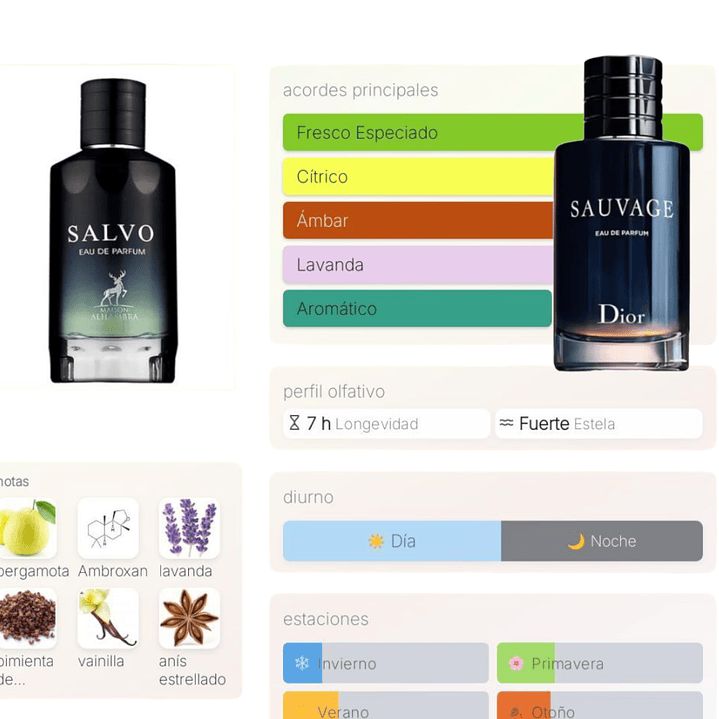 Salvo Maison Alhambra 2