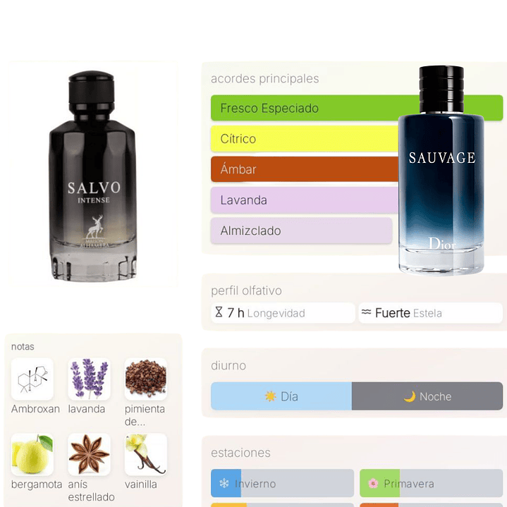 Salvo Intense de Maison Alhambra 2