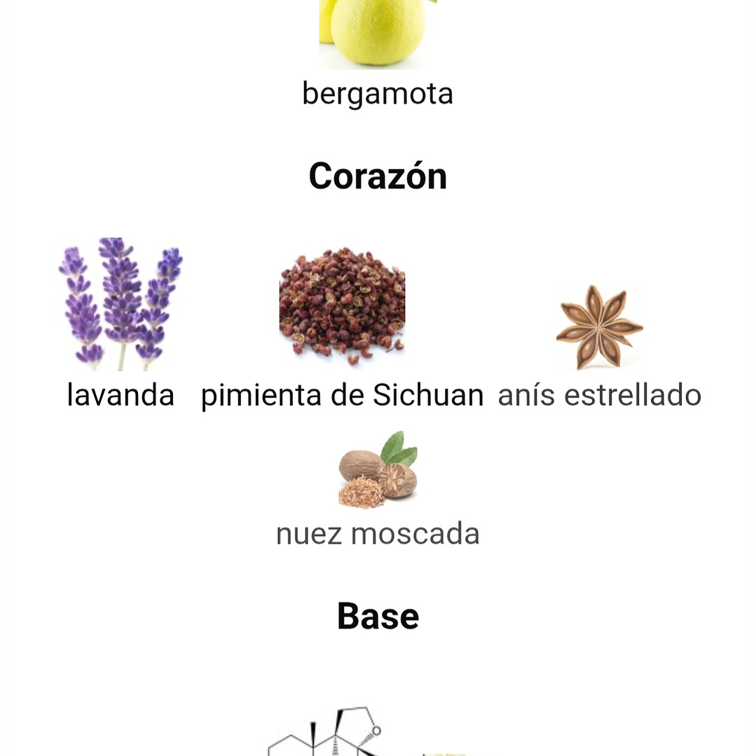 Salvo Intense de Maison Alhambra 3