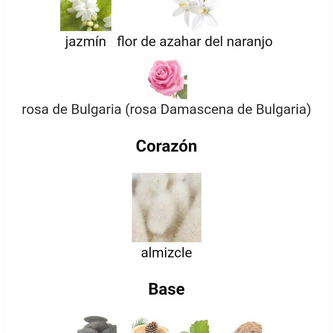 Narissa Ambre de Maison Alhambra 2