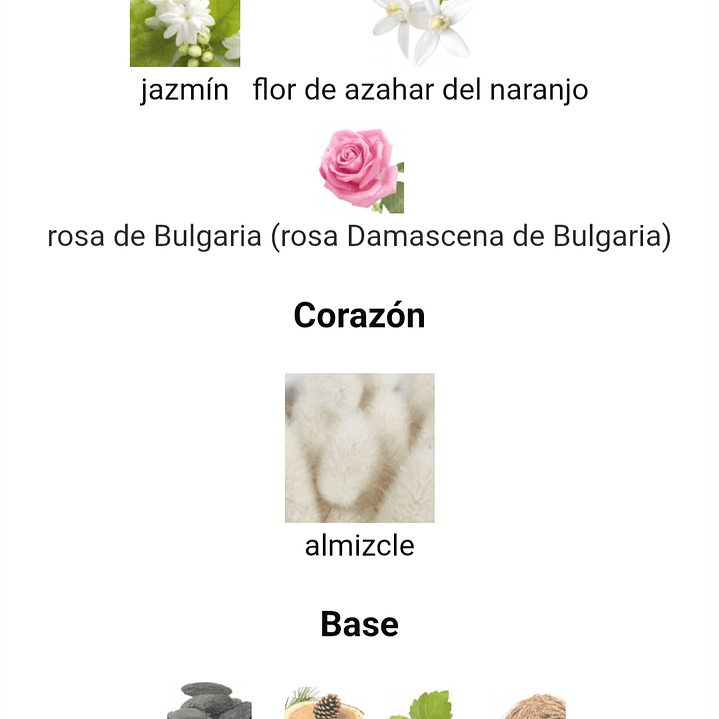 Narissa Ambre de Maison Alhambra 2