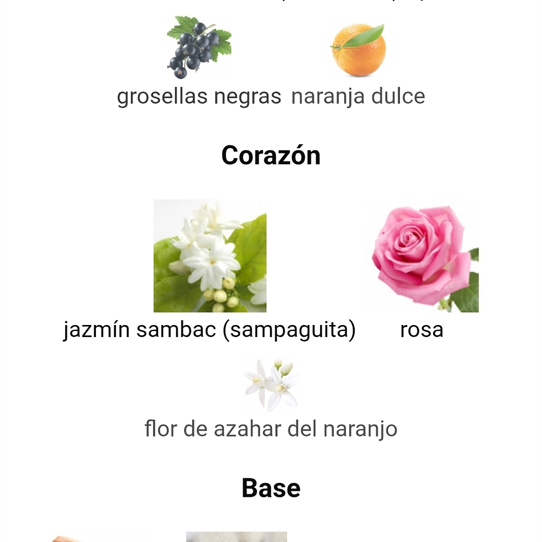 Ramz Lattafa (Gold) 3