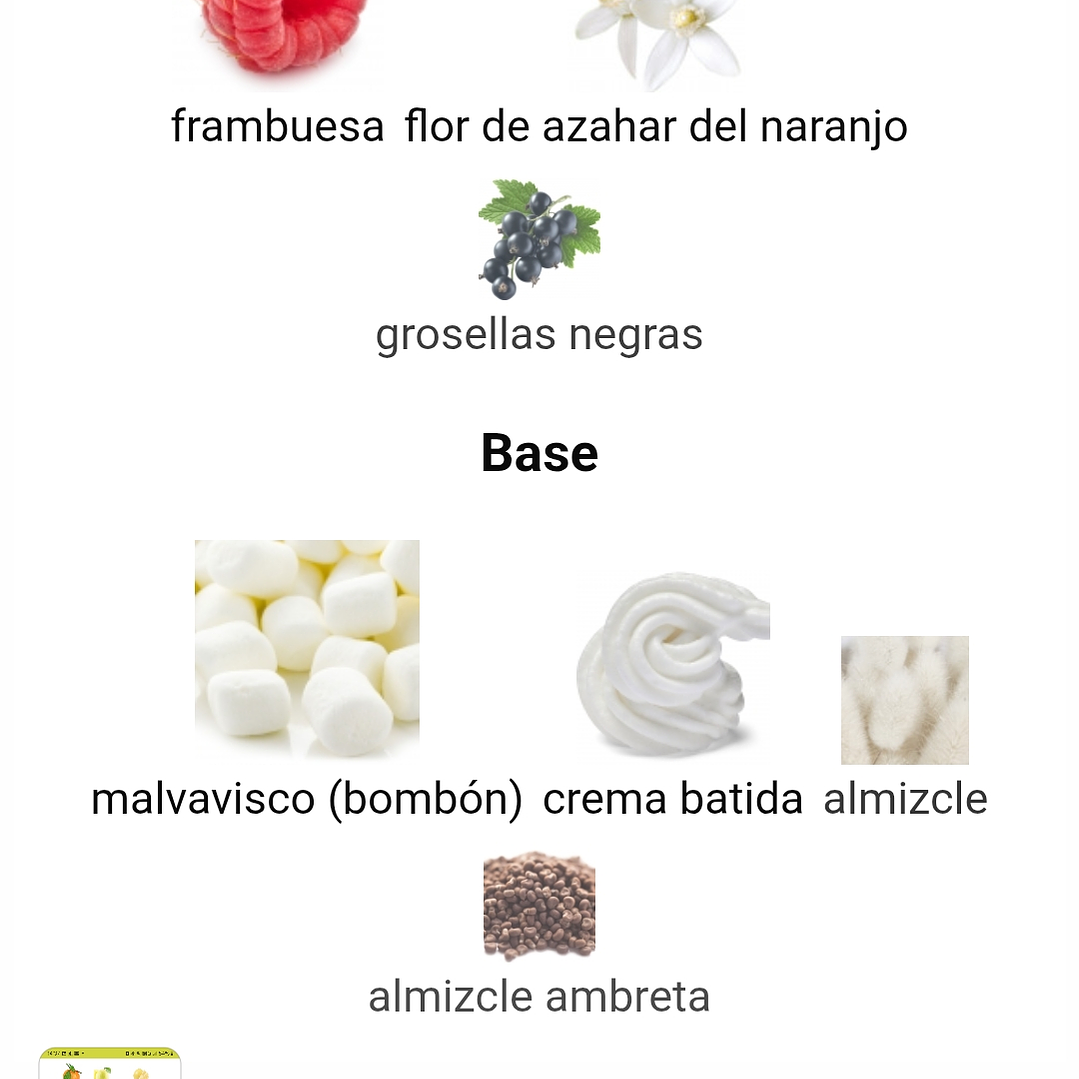 Reyna de Maison Alhambra 3