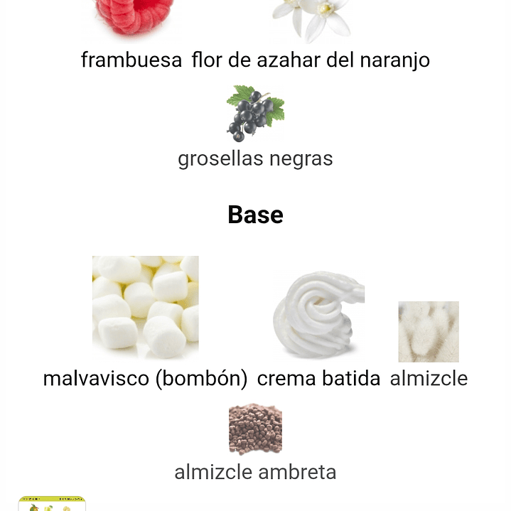 Reyna de Maison Alhambra 3