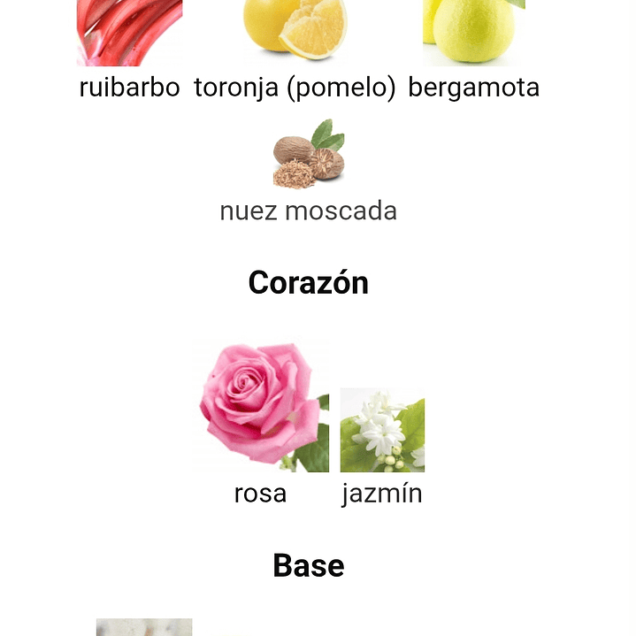 Fatima Pink de Zimaya 3