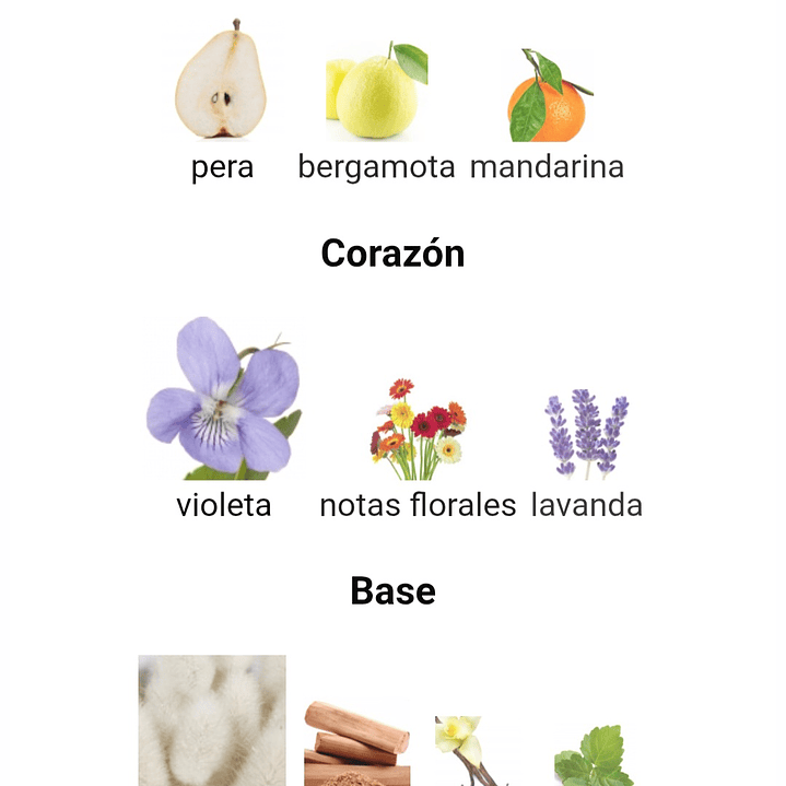 Fatima Velvet Love Edp 100Ml 3