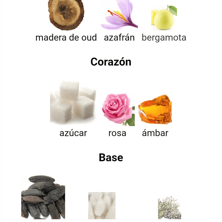 Taraf Black de Zimaya  3