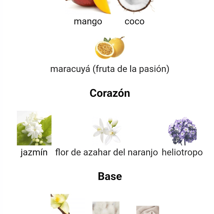 Yara Tous de Lattafa 100 ml 3