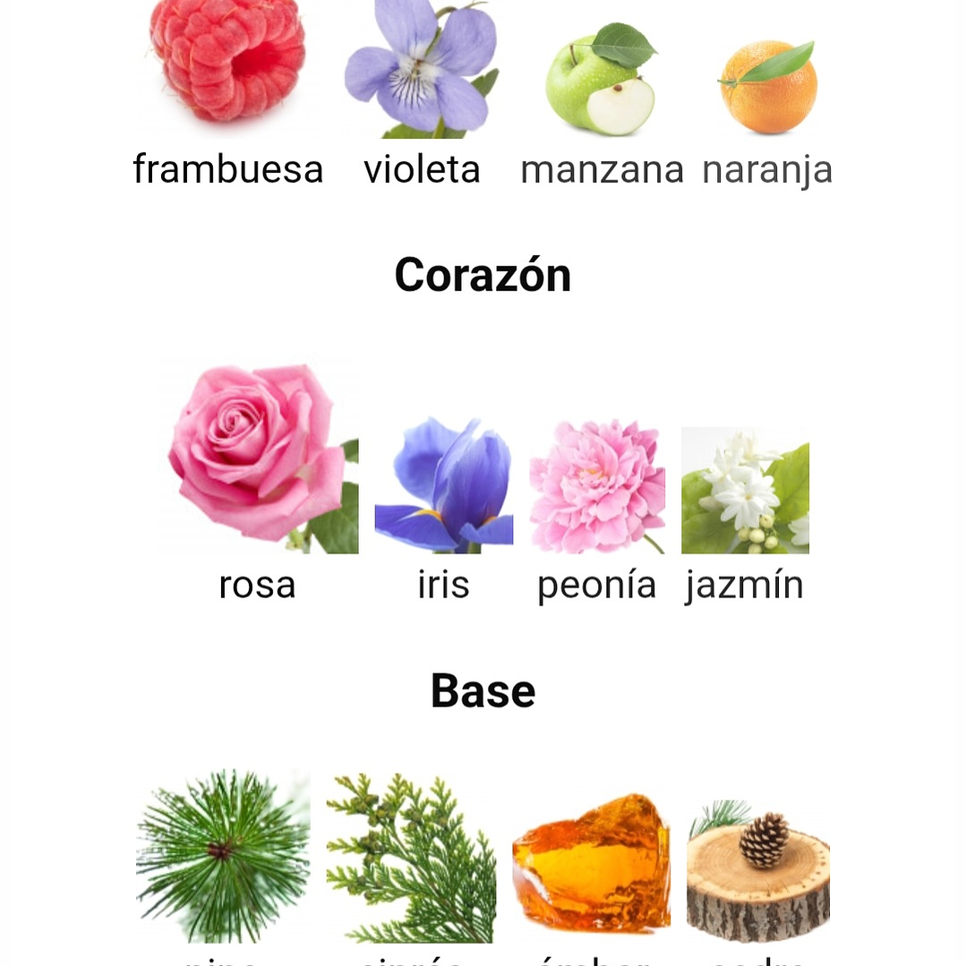 9pm pour Femme de Afnan 100 ml 3