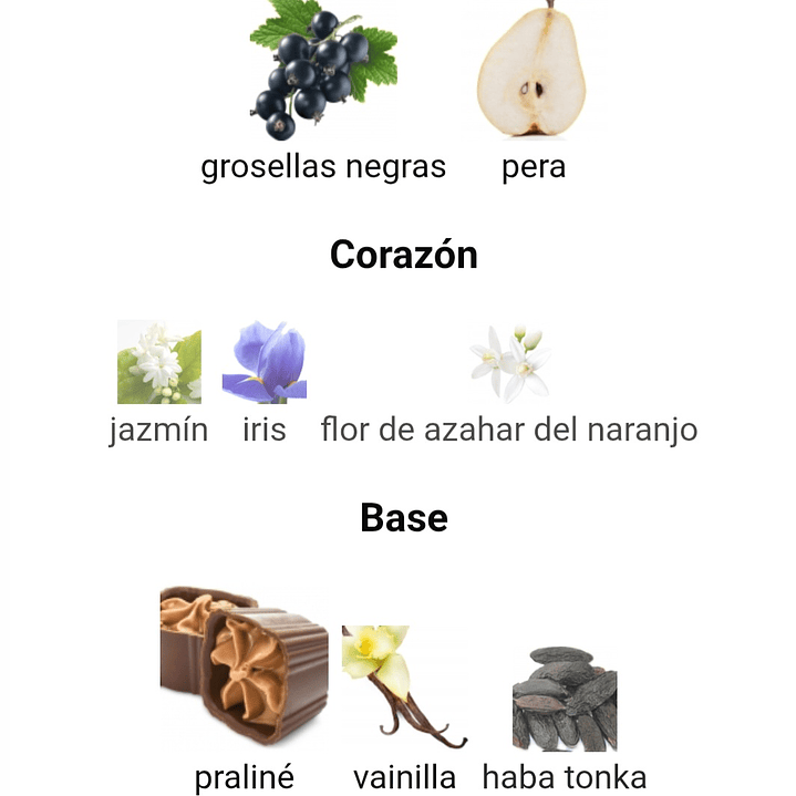 La Vita Bella Intensa Maison Alhambra 100 ml 3